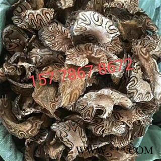 大货供应{龙骨风}可批量可零售量大从优【包邮】