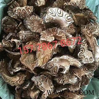 大货供应{龙骨风}可批量可零售量大从优【包邮】图2