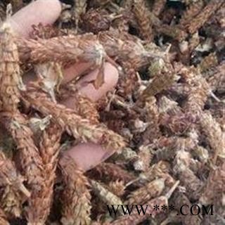 夏枯球 夏枯球统货 产地 河南省图2