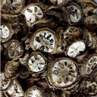 预知子 八月札选货 预知子 质量好价格低 产地 湖北省 产地 湖北省图2