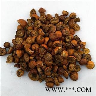 川楝子 精品选装大个炒川楝子 产地 四川省图2