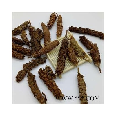 新货批发 夏枯草 夏枯球白花草棒槌草1000g夏枯草