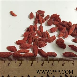 枸杞子 宁夏枸杞小粒 茗生春药材总公司 一手货源  7天无理由退换图3