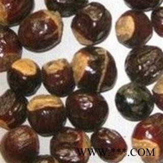 龙眼核 桂圆核 龙眼子 正品 优质 促销图2