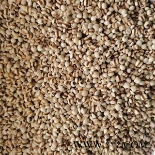 薏苡仁 国产薏苡仁98米 产地 贵州省图2