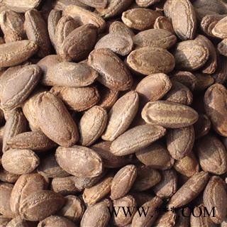 瓜蒌子 单边瓜蒌子选货 产地 河北省图2