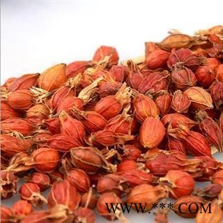 栀子 正品选装江西红栀子小个 产地 江西省图2