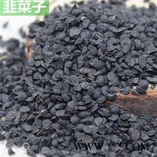 韭菜子 韭菜子净货 产地 山西省长治市图2