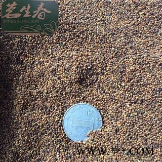 菟丝子水洗统货 产地 内蒙古自治区 茗生春药材总公司 一手货源 7天无理由退换图2