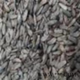 《满198包邮》牵牛子 牛蒡子净货 过风车货 地道药材 产地 四川省图2