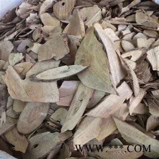 接骨木 含量高干货好货图2