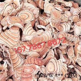 大货供应{广西鸡血藤}可批量可零售量大从优【包邮】图2