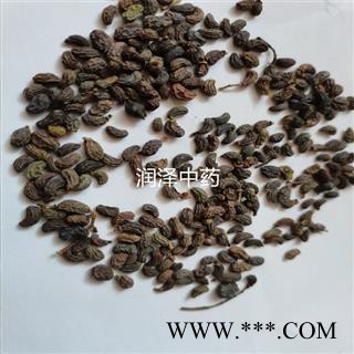 【女贞子】【润泽中药】中药材批发供应 规格齐全 量大从优图1