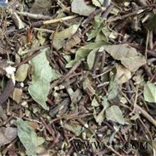 薜荔络石藤 选段 全棵 新货 质量保证 产地 江西省景德镇市图2