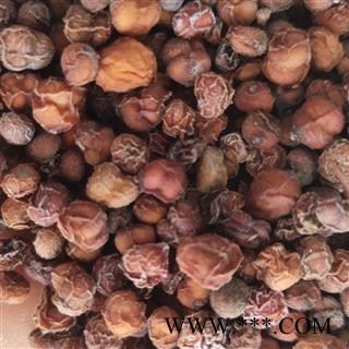 南五味子 南五味子 净货 选货  产地 河南省洛阳市图2