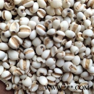 薏仁 国产薏苡仁98米 产地 贵州省铜仁市图2