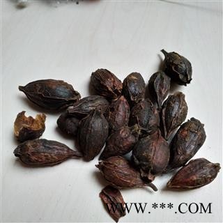 栀子  炒栀子个 栀子米 规格齐全 今年新货 无虫蛀无霉 产地 福建省泉州市图3