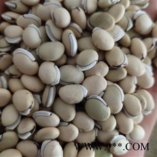 白扁豆 云南白扁豆选货 正品 黑梅 产地 云南省丽江市图2