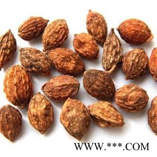 益智仁 益智仁 新货上市 好货 无硫 颗粒饱满 产地 广西壮族自治区桂林市图2