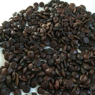 酸枣仁 进口炒枣仁 代加工各种炒法可打粉 酸枣仁饱满精选货 产地 海外图2