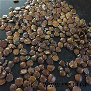 酸枣仁 进口炒枣仁 代加工各种炒法可打粉 酸枣仁饱满精选货 产地 海外