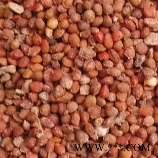 灵吉药业 楮实子 褚实子 楮实、楮桃、角树子、构泡图2