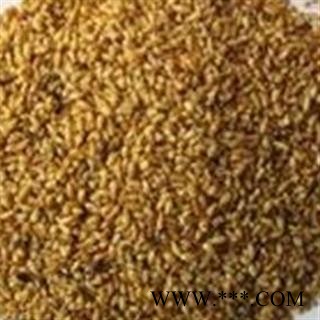 柏子仁 去壳 优质 促销图2