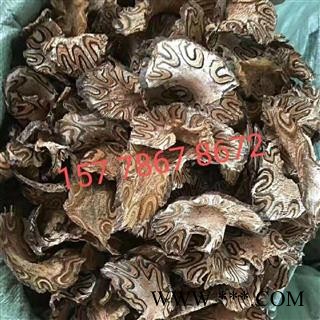 {龙骨风}三斤起发货【包邮】【正品保证】图3