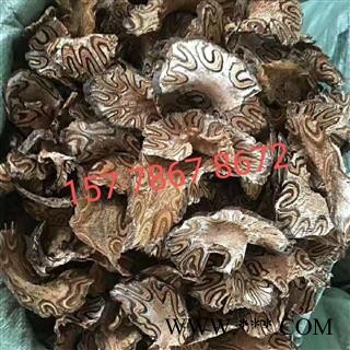 {龙骨风}三斤起发货【包邮】【正品保证】图4