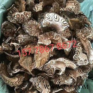 {龙骨风}三斤起发货【包邮】【正品保证】