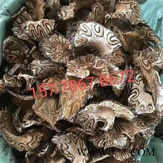{龙骨风}三斤起发货【包邮】【正品保证】图2