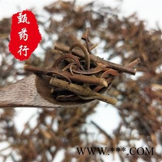 钩藤 钩藤含钩百分之30及以上 一手货源正品批发 产地湖南 甄选药材行图4