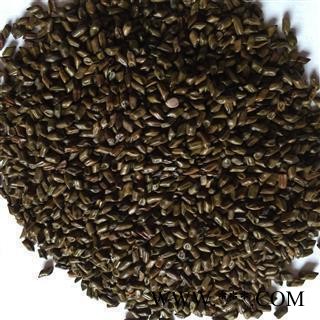 决明子 国产决明子统货 产地 山东省图2