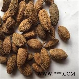 砂仁 进口 壳砂仁 统货 新货 清仓出售 产地 云南省昭通市图3