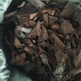 新辉药业野生中药材地枫皮 钻地风图3