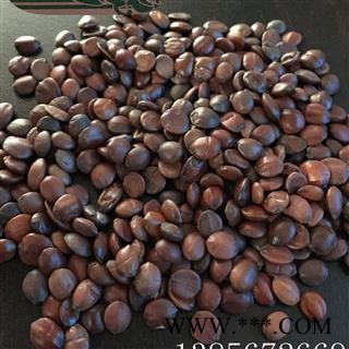 98%酸枣仁 茗生春药材总公司 一手货源  7天无理由退换图2