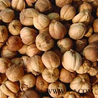 灵吉药业 白豆蔻   豆蔻   优质统货 批发各类规格中药材 花茶 矿石 野生冷背中药材图3