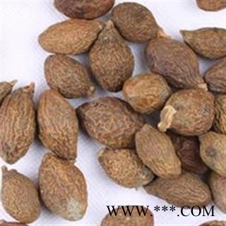 灵吉药业  胖大海 药厂投料用 包含量图2