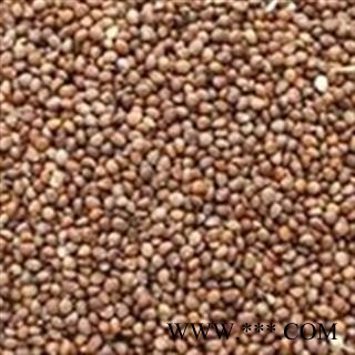 灵吉药业  紫苏子 苏子（大子）  道地药材 货真价实图2