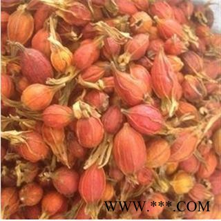 《满198包邮》栀子  江西红栀子小统个 道地好药  产地 江西省图2