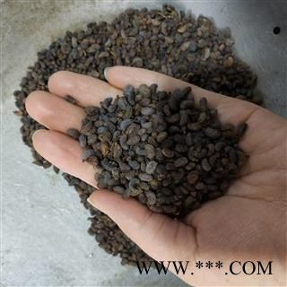 女贞子 女贞子腰果净货 产地 山东省图2