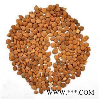 杏仁 苦杏仁选货 无烂掰  皮杏仁 产地 河北省保定市图4