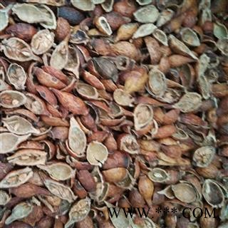 金樱子 金樱子肉 全壳 无籽 颜色红 新货 产地 江西省九江市图3