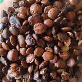 进口枣仁   清炒枣仁98货  净货 无染色 无增重  产地 云南省红河哈尼族彝族自治州