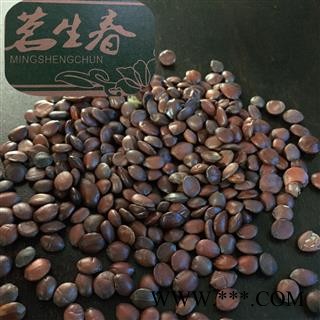 95%酸枣仁 茗生春药材总公司 一手货源  7天无理由退换