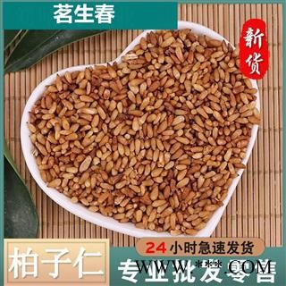 柏子仁 厂家直销出口级99%纯仁无壳柏子仁 茗生春药材总公司 一手货源 7天无理由退换