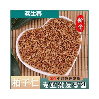 柏子仁 厂家直销出口级99%纯仁无壳柏子仁 茗生春药材总公司 一手货源 7天无理由退换