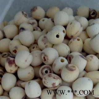 京辉药业 白莲子 去芯优质白莲子图2