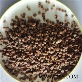 莱菔子 云南莱菔子统货 产地 云南省图1