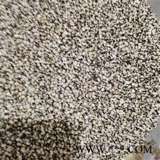 炒王不留行 河北王不留行选货 产地 河北省图2